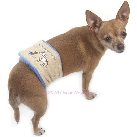 To Pee or Not To Pee Dog Belly Band by Oscar Newman - SIZE XXS - Picture 3 of 3